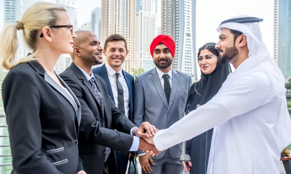 uae via amnesty 2024