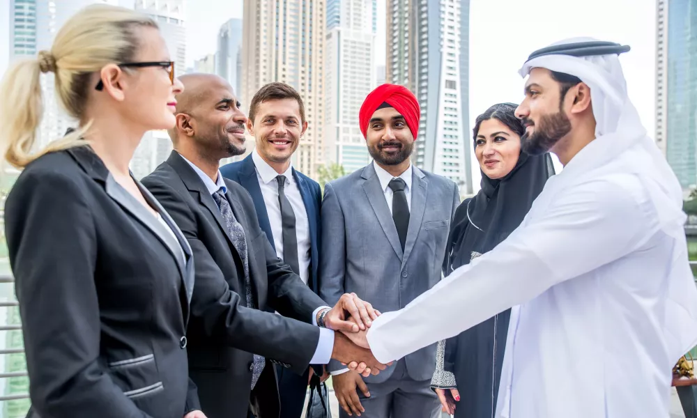 uae via amnesty 2024